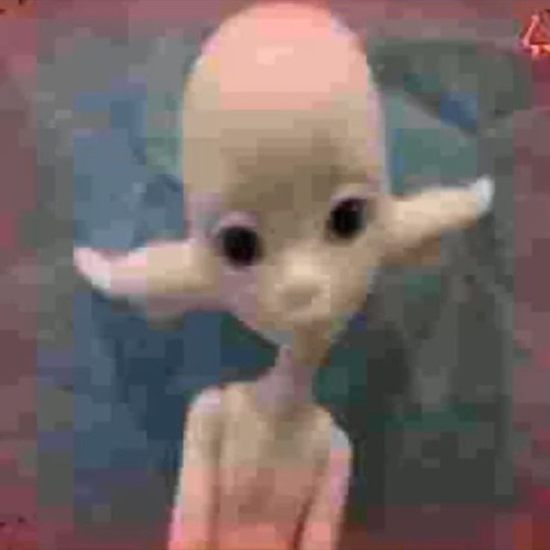 Avatar de jiwi: alienígena de orelhas alongadas